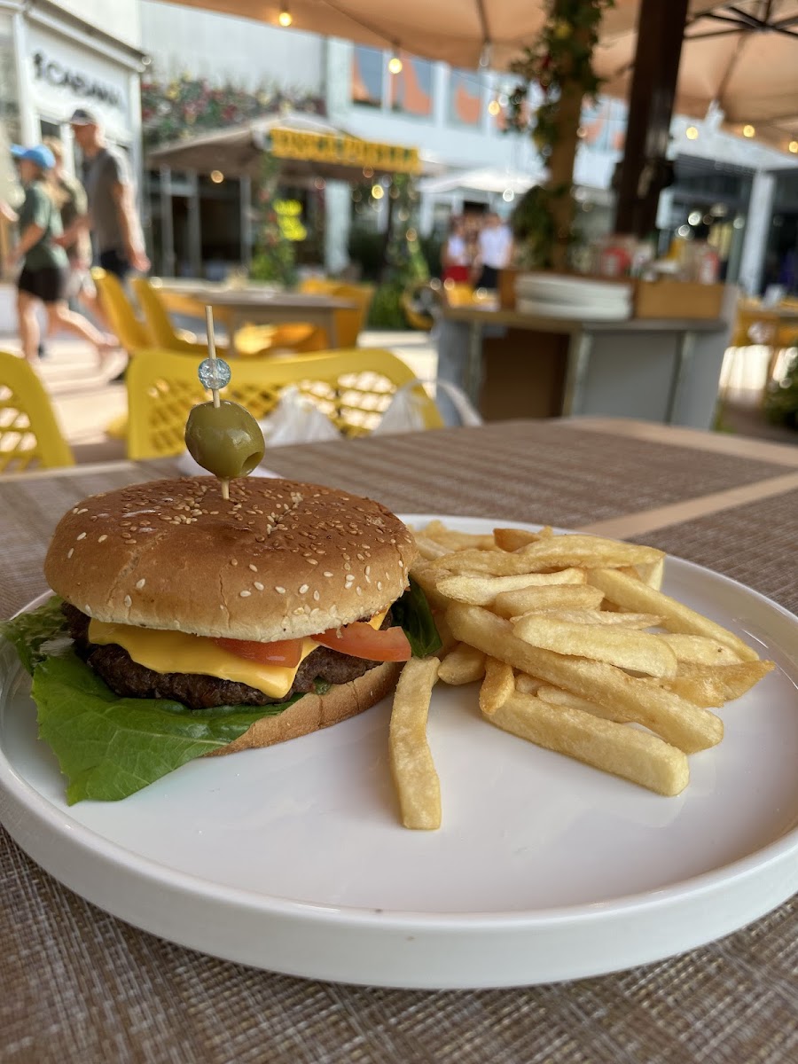 Burger and fries on a plate